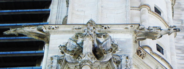 doccione di una cattedrale gotica