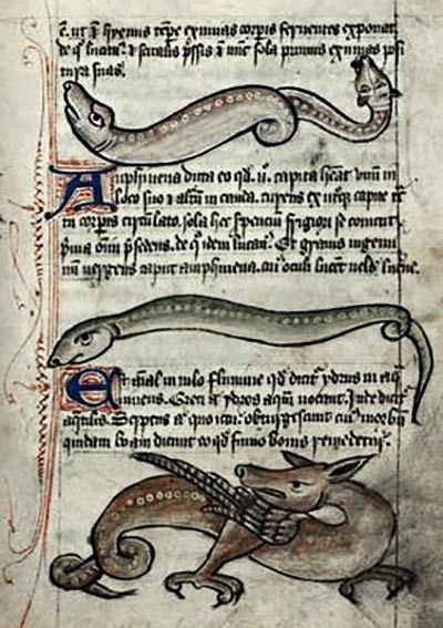 animali e e bestie nell'immaginario medioevale