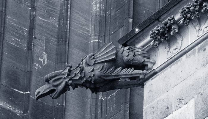 gargoyle Cattedrale gotica di Colonia